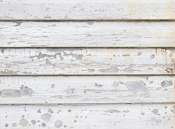 Trusted Staten Island, NY Junk Removal Experts
